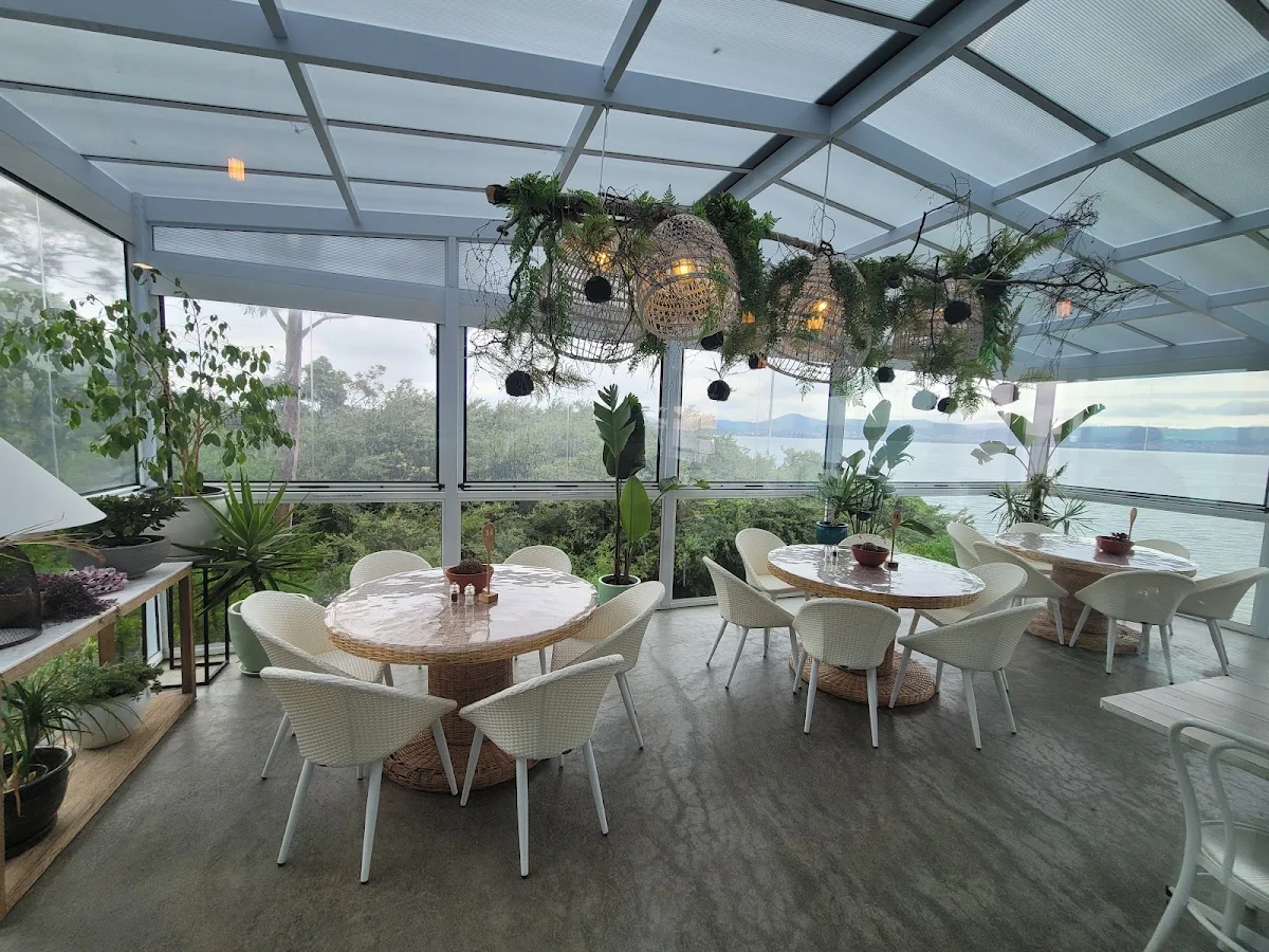 Vibe, Seagrass Long Point