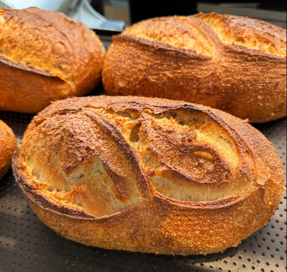 Food & drink, Sonoma Bakery Menai