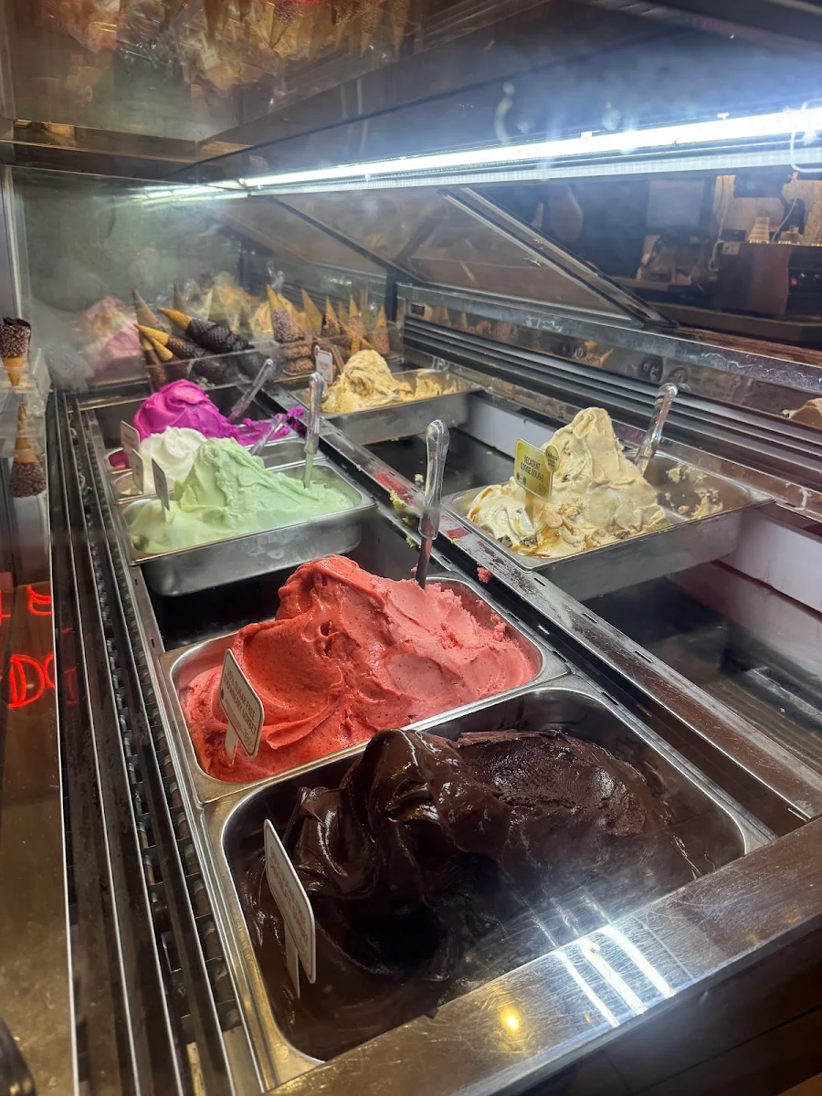 Vibe, Gelatissimo Coomera
