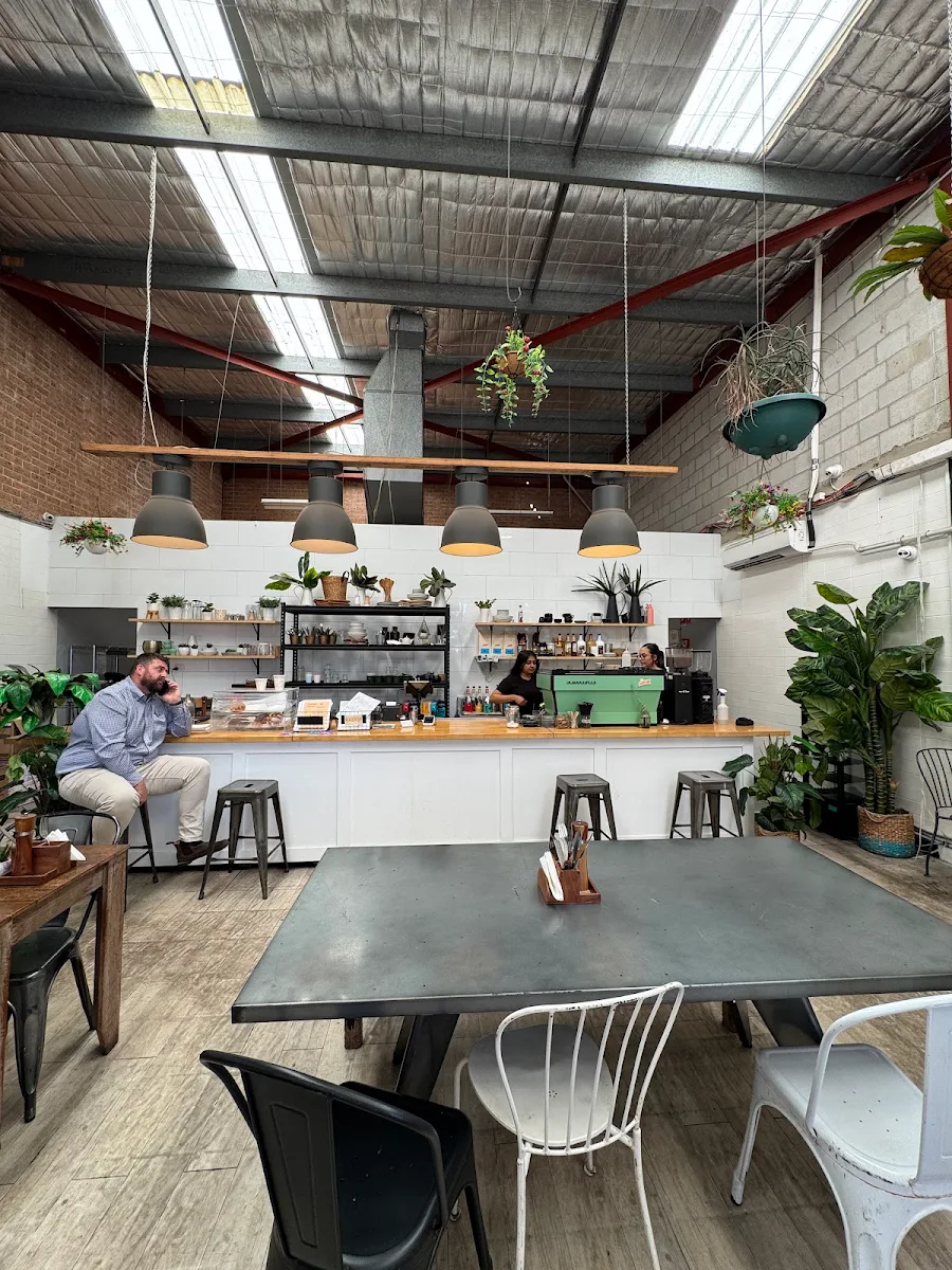 Vibe, Paper Plane Factory Cafe