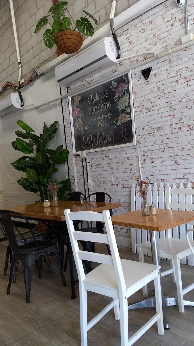 Vibe, Paper Plane Factory Cafe