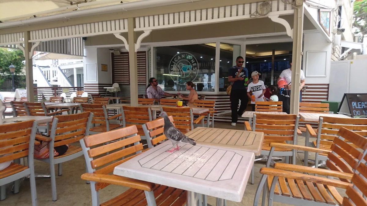 Vibe, Pelican's Nest Cafe