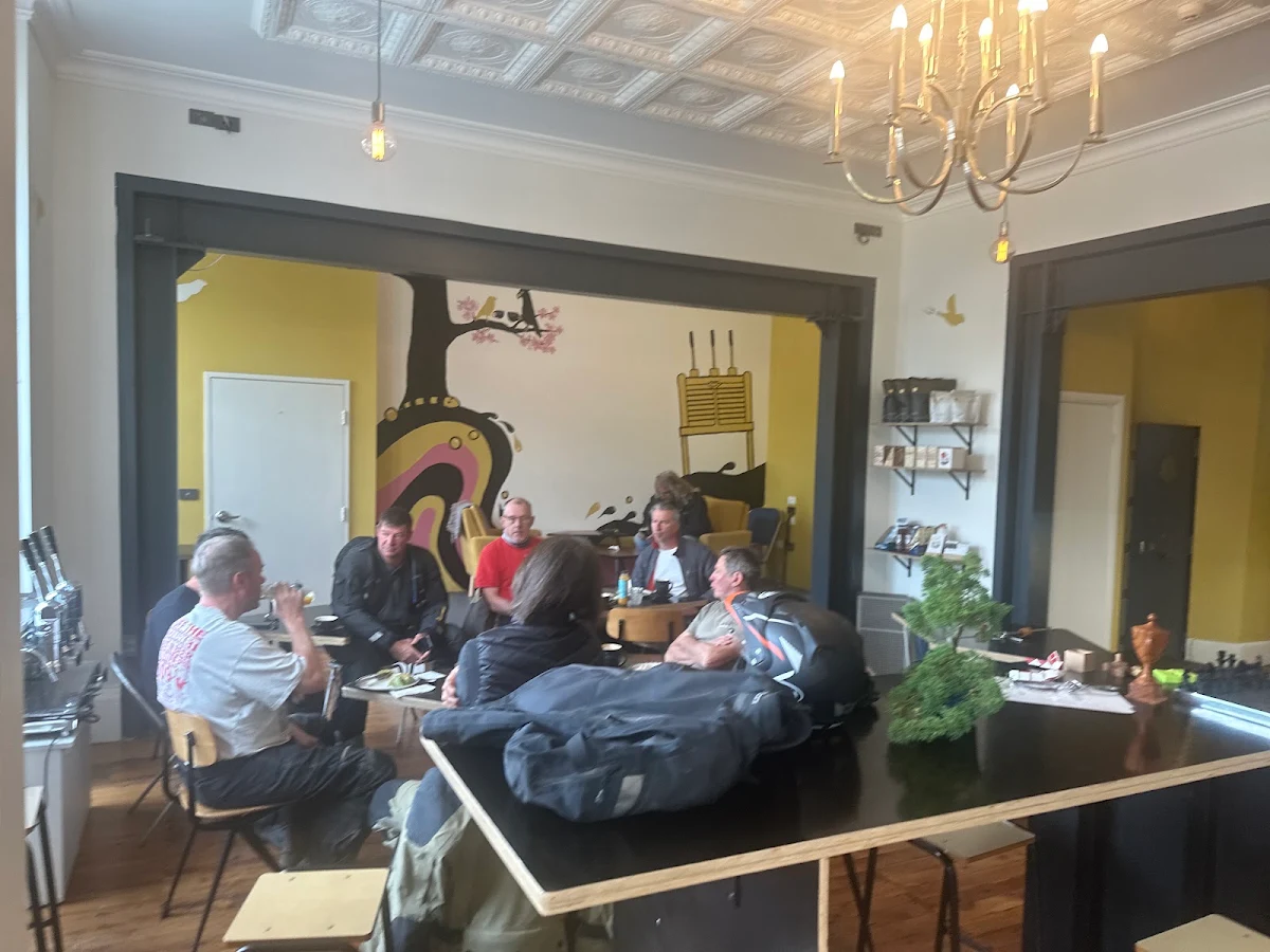 Vibe, gingerbird espresso