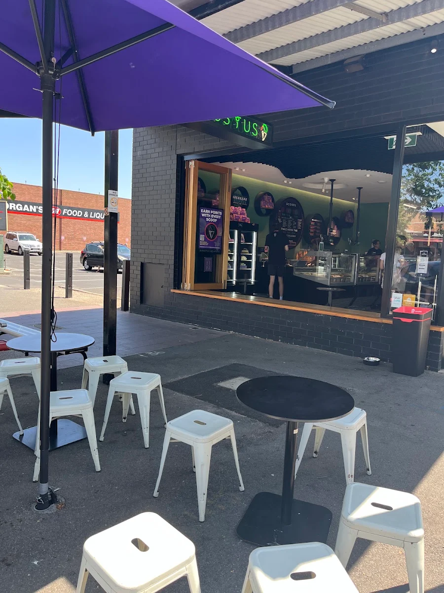 Vibe, Augustus Gelatery - Sunbury