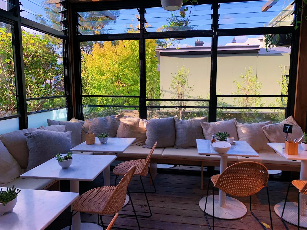 Vibe, Daily Greens Paddington