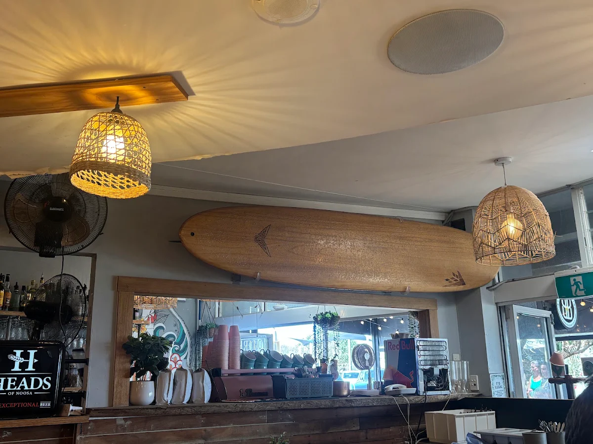 Vibe, Coffee Cat On Kings Beach