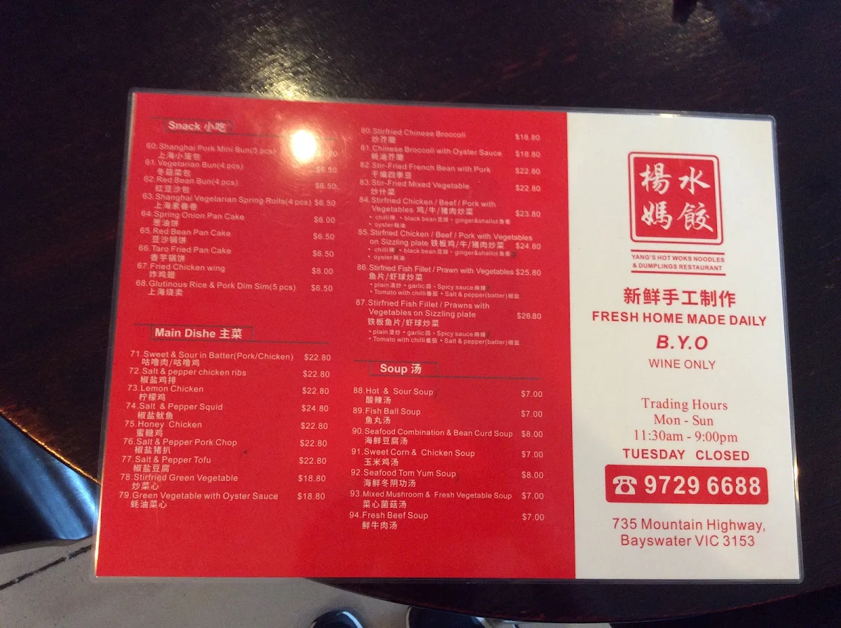 Menu, Yang's Hot Works Noodles & Dumplings
