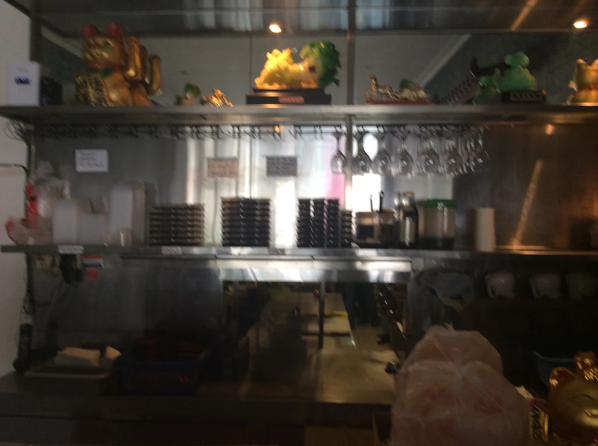 Vibe, Yang's Hot Works Noodles & Dumplings
