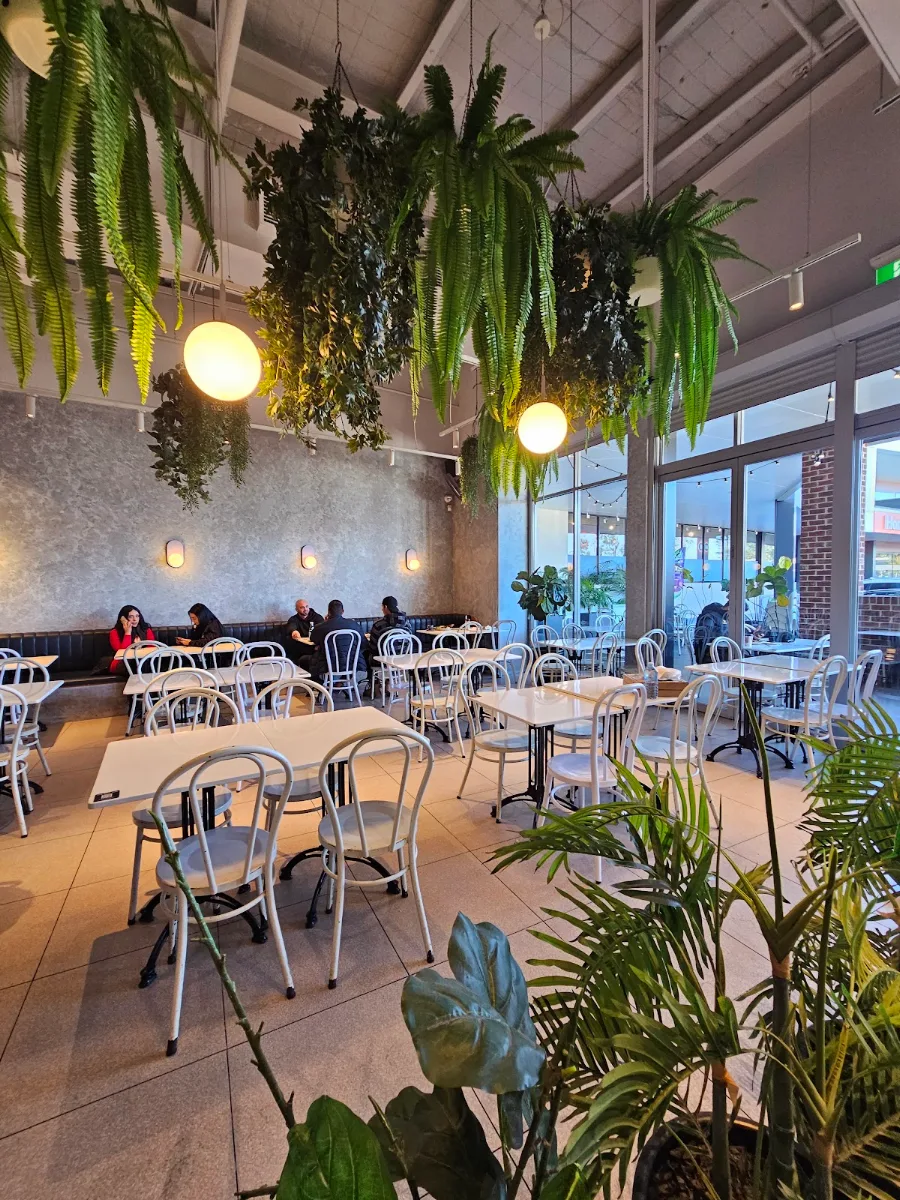 Vibe, XS Espresso Prestons