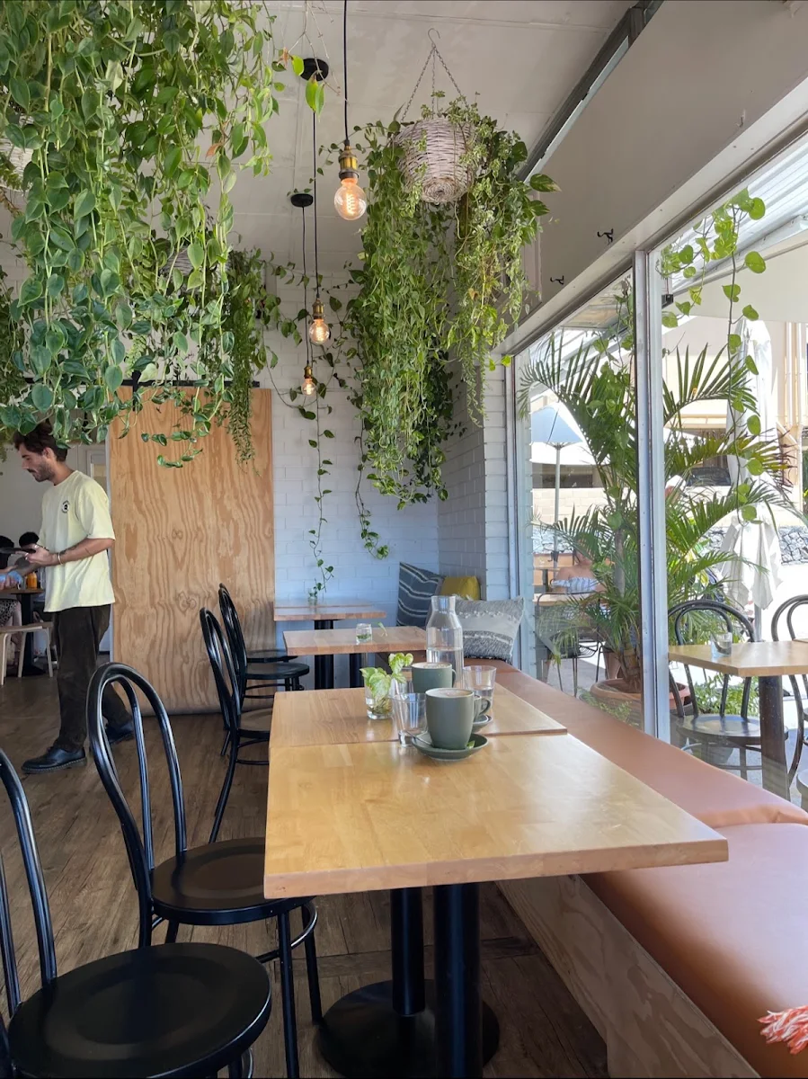 Vibe, Deli Dakota Specialty Coffee & Sandwiches