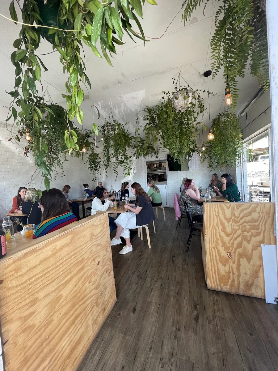 Vibe, Deli Dakota Specialty Coffee & Sandwiches