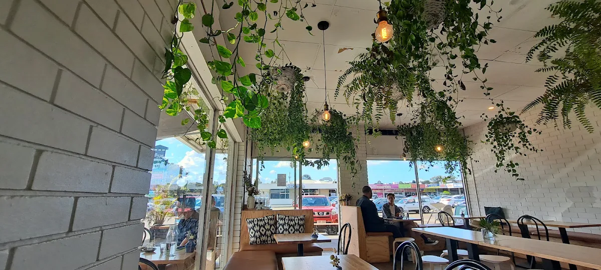 Vibe, Deli Dakota Specialty Coffee & Sandwiches