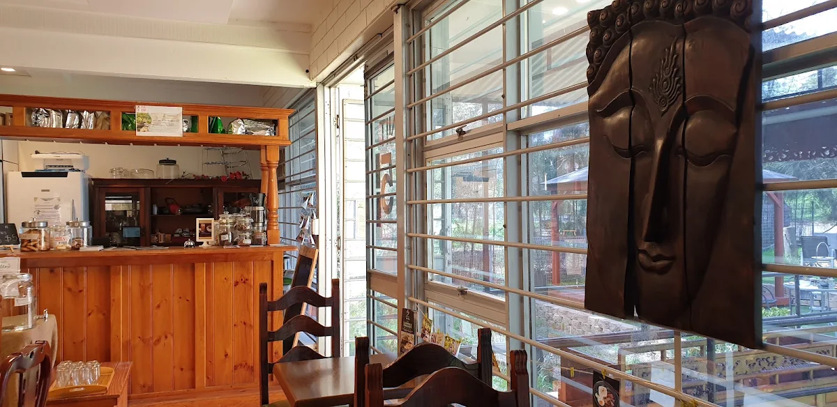 Vibe, ZenTea Lounge