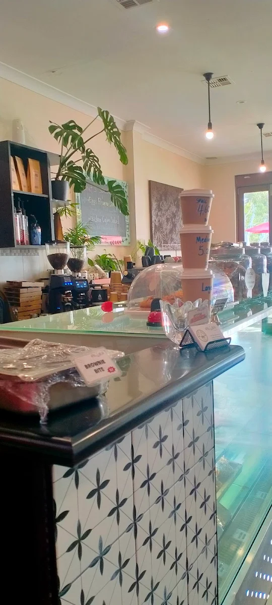 Vibe, King Bean Cafe