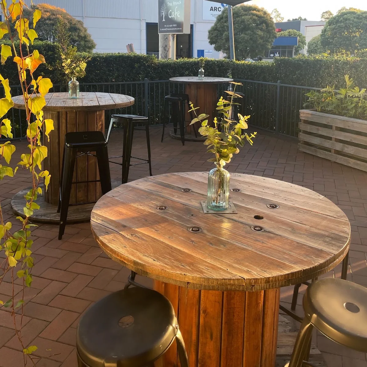 Tree Branch Cafe narellan cover