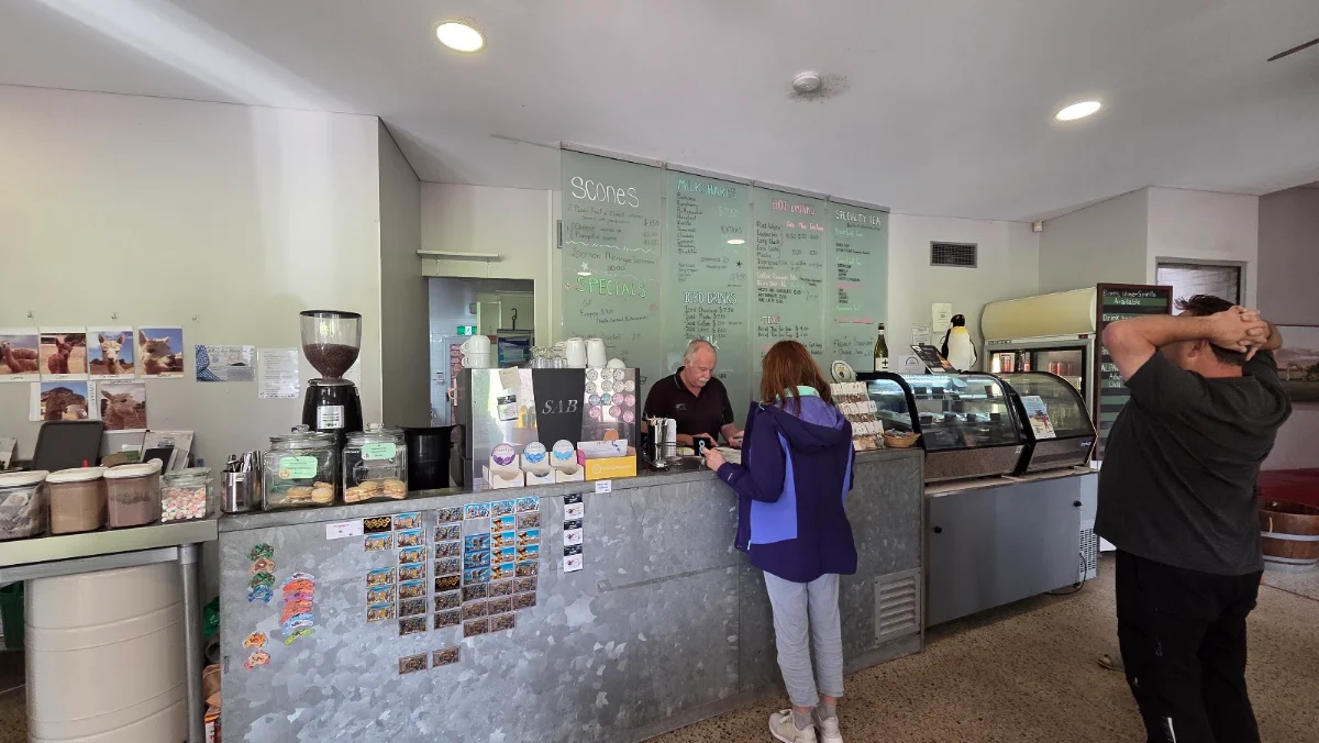 Vibe, Central Greenough Cafe