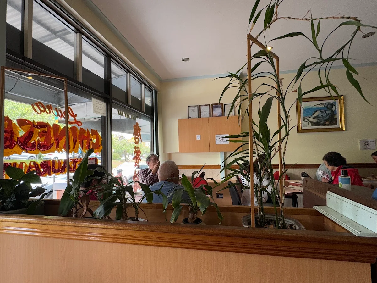 Vibe, Leura Chinese Restaurant