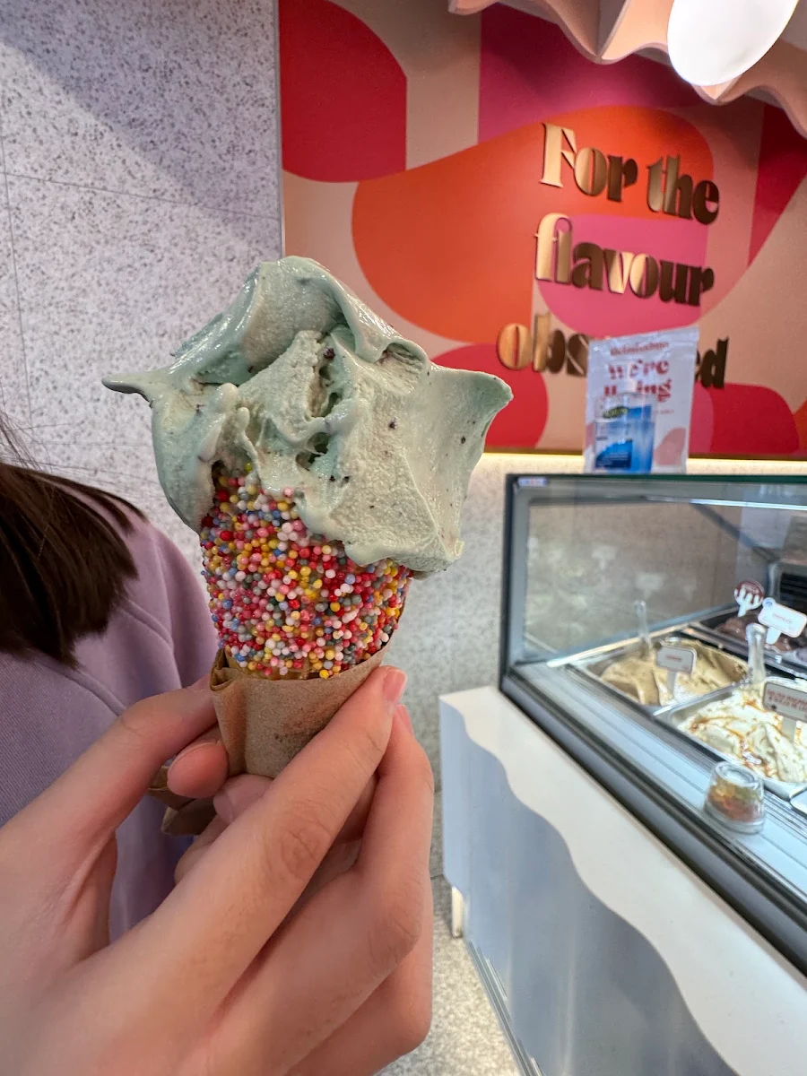 Vibe, Gelatissimo Surfers Paradise