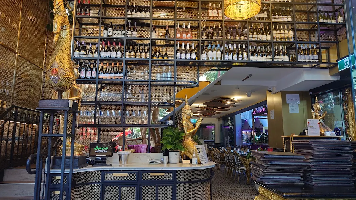 Vibe, Holy Basil Darling Square