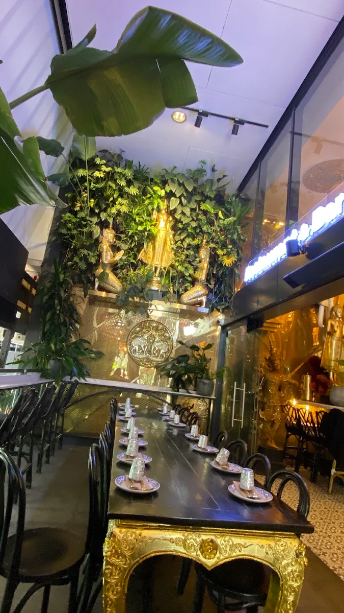Vibe, Holy Basil Darling Square