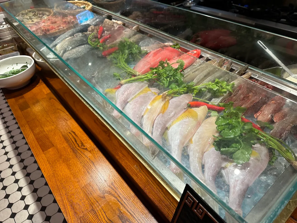 Vibe, FUJI Seafood Restaurant 福记潮汕人家