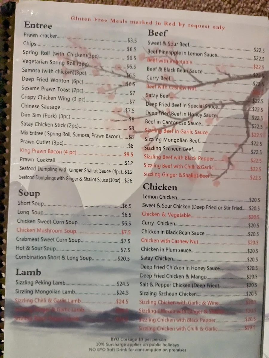 Menu, Chinese Village Restaurant
