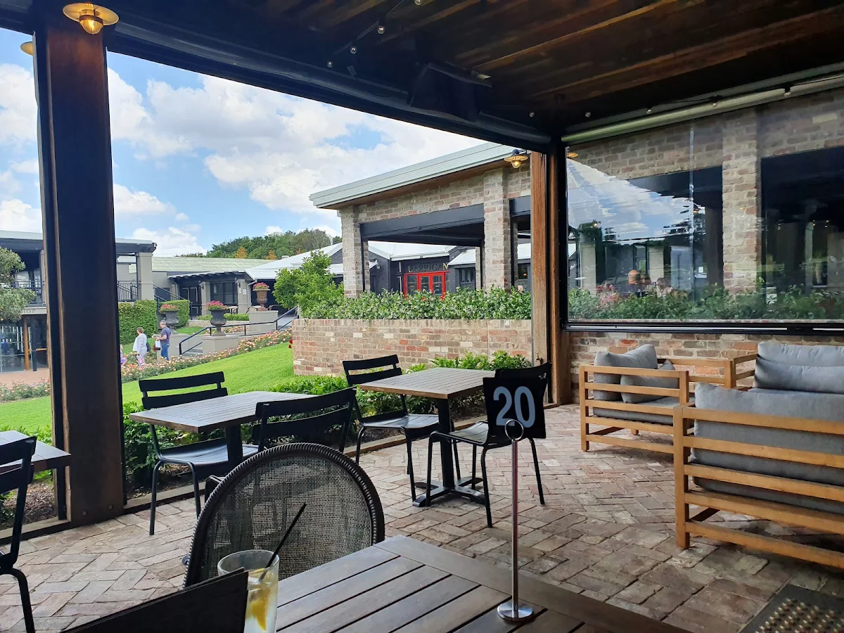 Vibe, Harrigan's Hunter Valley
