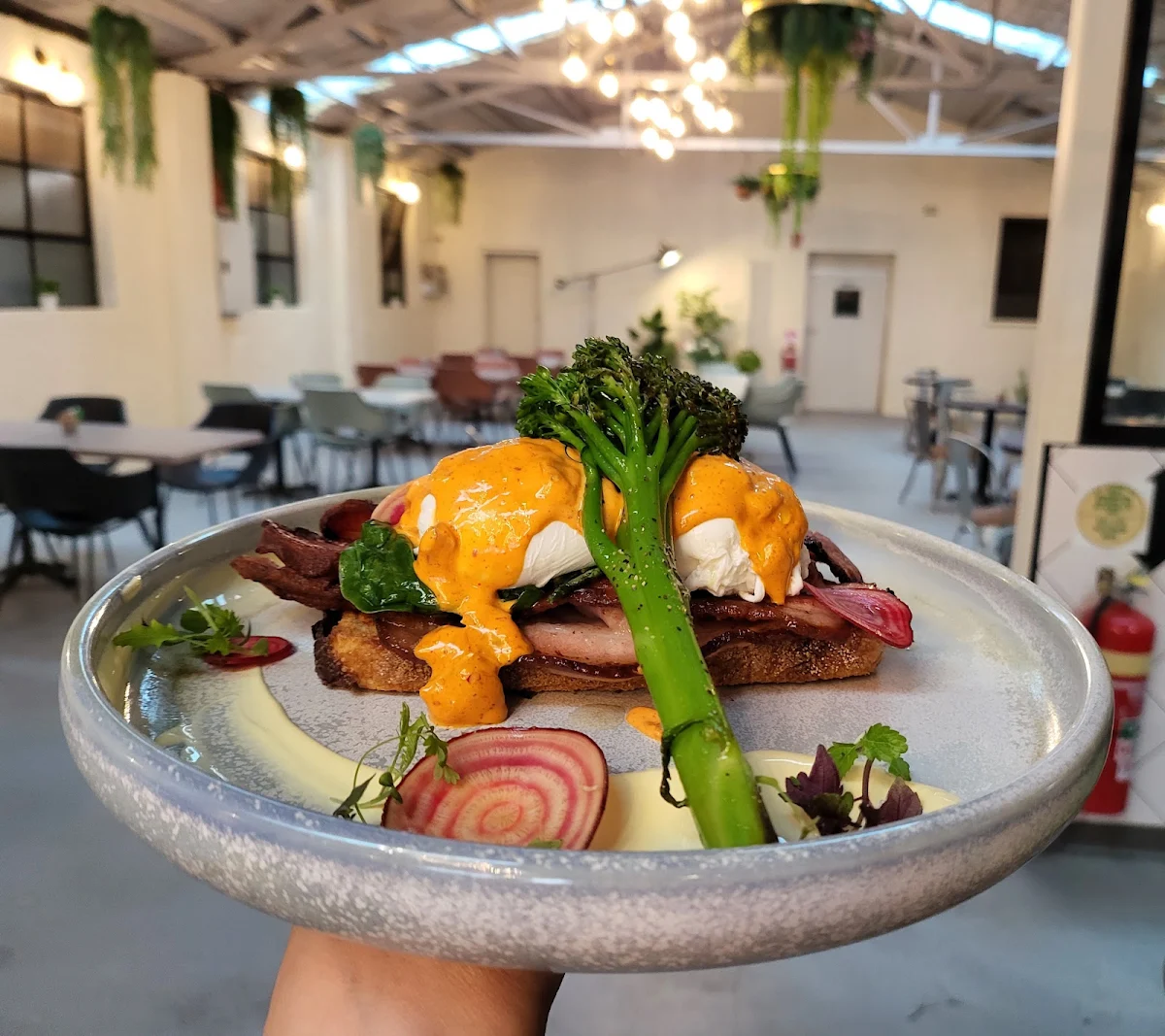 Food & drink, Cherry Beans Rydalmere