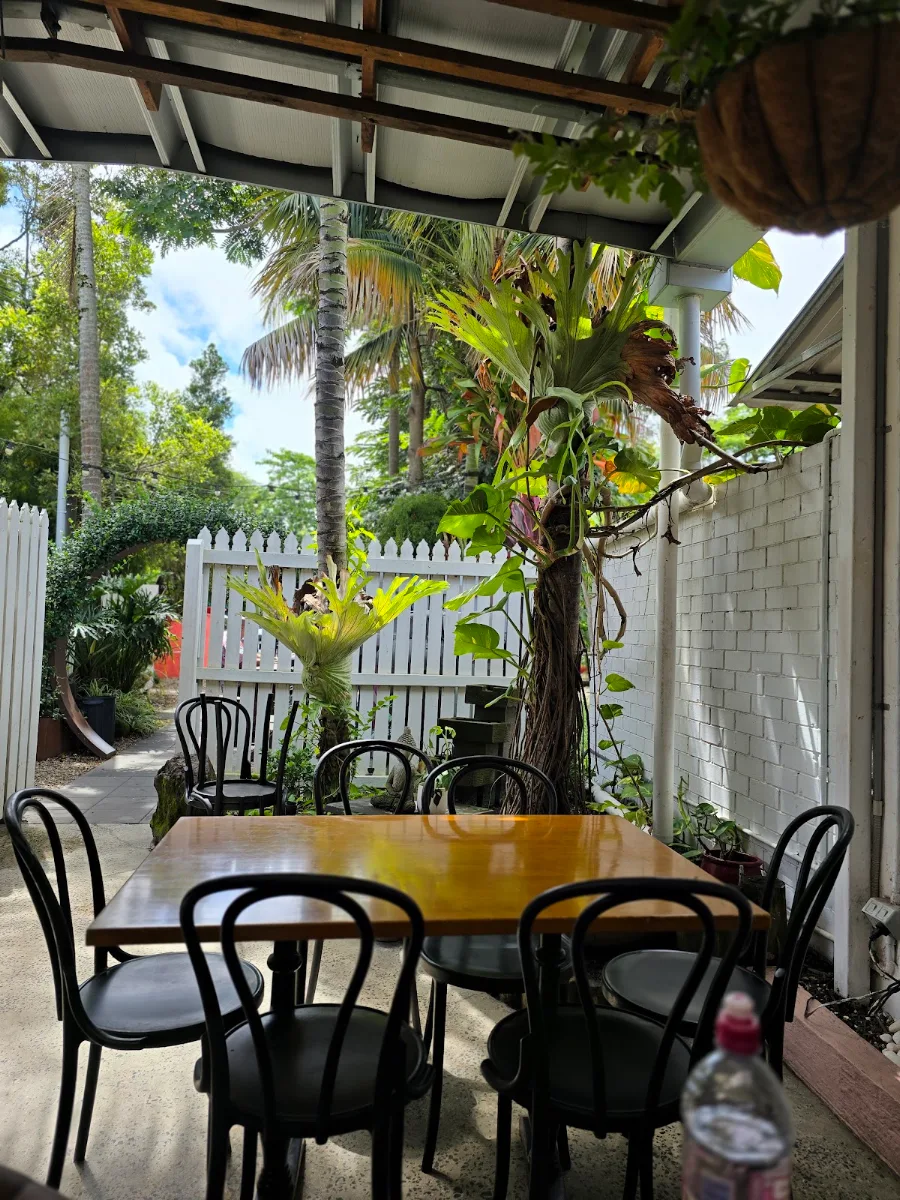Vibe, Pink Lotus Mullumbimby