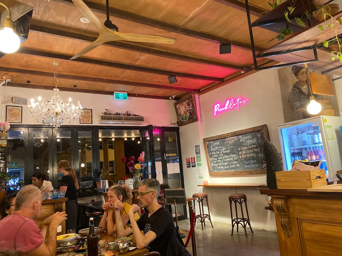 Vibe, Pink Lotus Mullumbimby