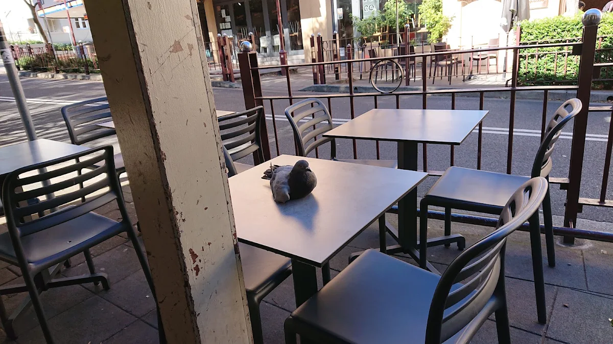 Vibe, Kirribilli Seafoods