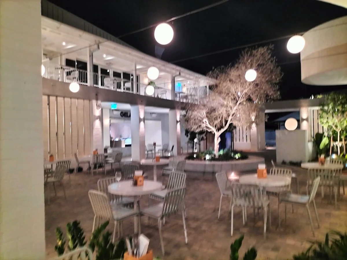 Vibe, The Belvedere