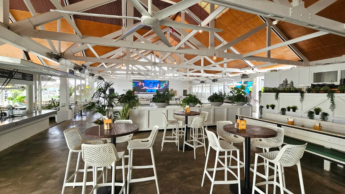 Vibe, The Belvedere