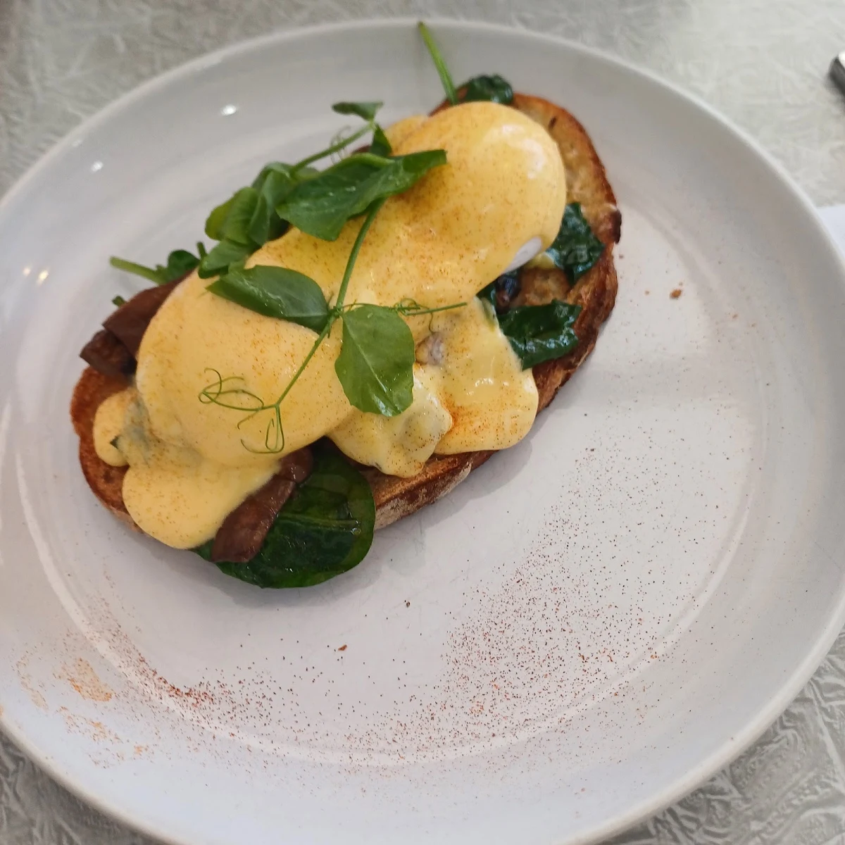Food & drink photo 5