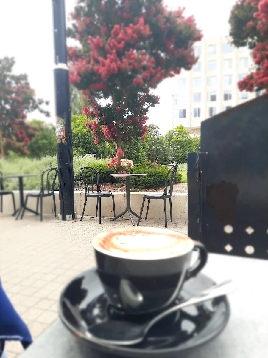 Food & drink, Rex Espresso