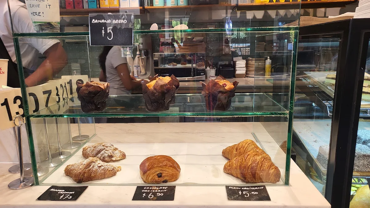 Vibe, Rex Espresso