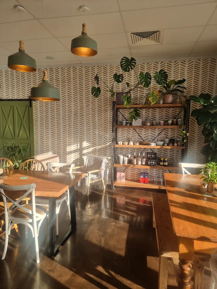 Vibe, Little Sunshine & Co.