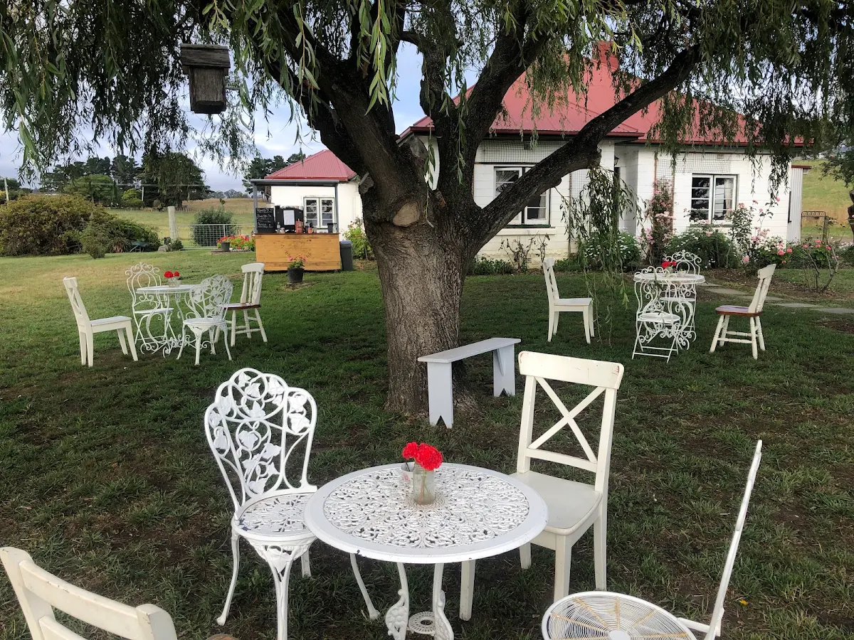 Vibe, Cottage Garden Cafe