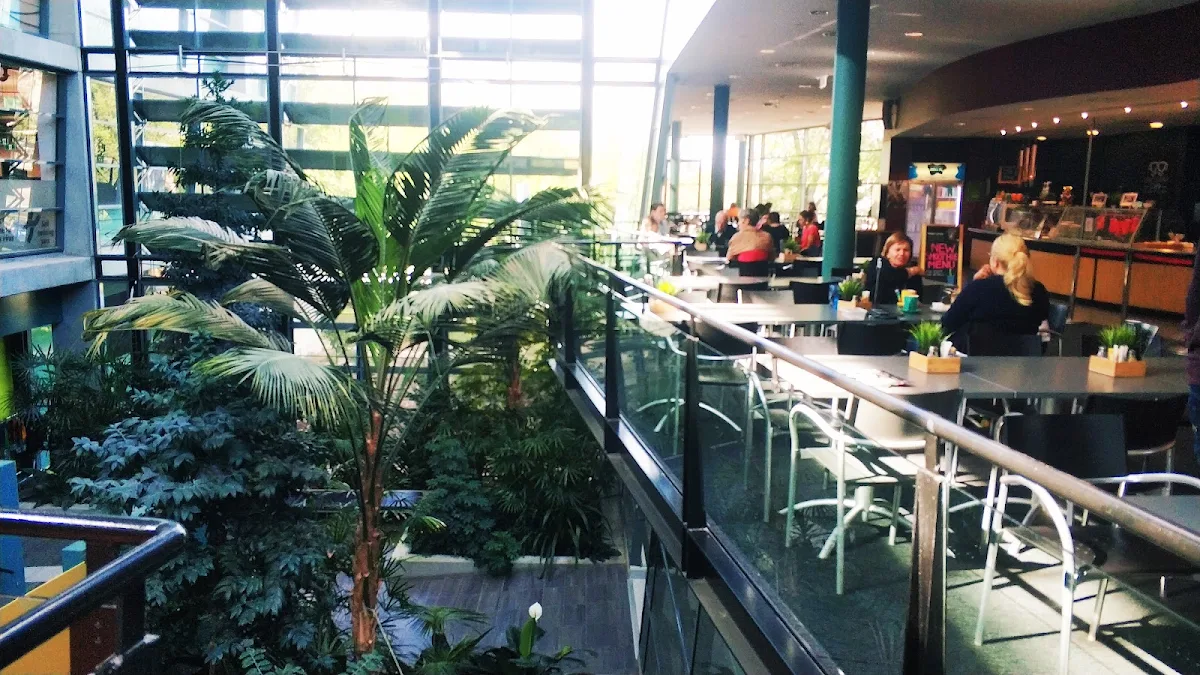 Vibe, Discovery Cafe CSIRO