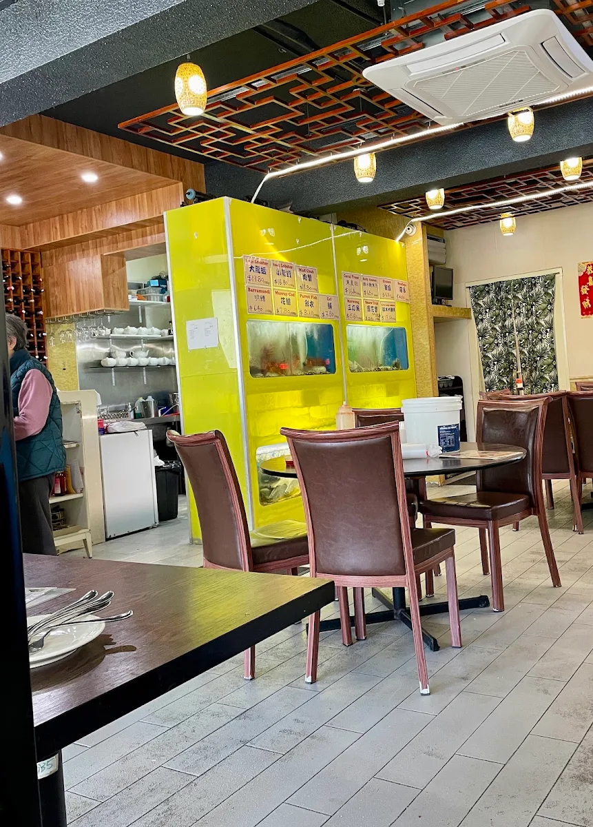 Vibe, SINO Kitchen