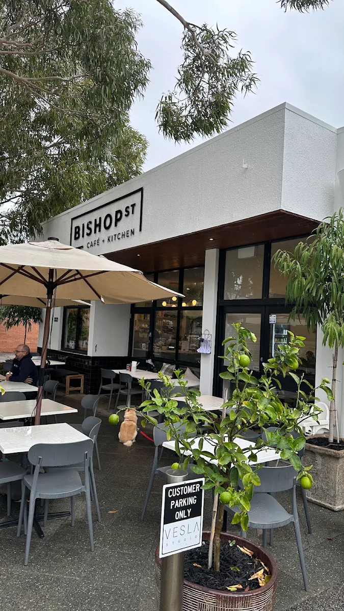 Vibe, Bishop Street Cafe
