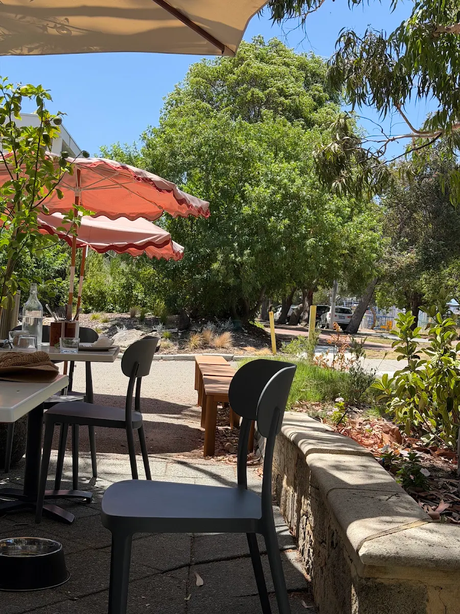 Vibe, Bishop Street Cafe
