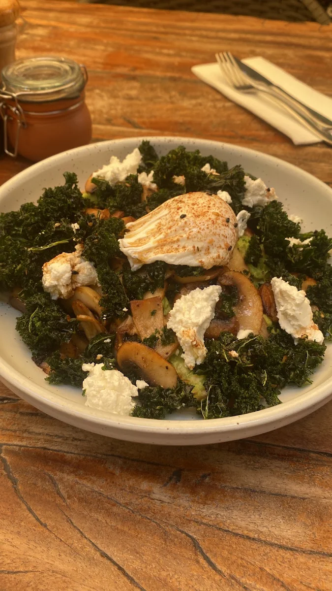 Food & drink, Coogee Courtyard
