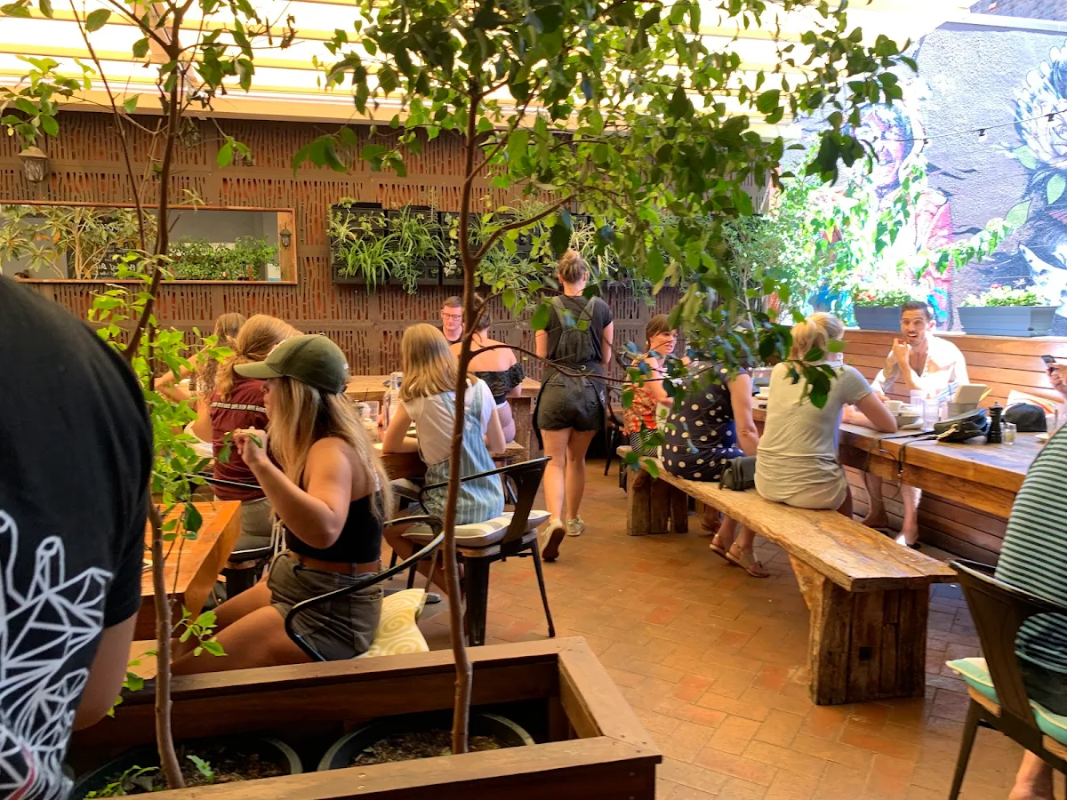 Vibe, Coogee Courtyard