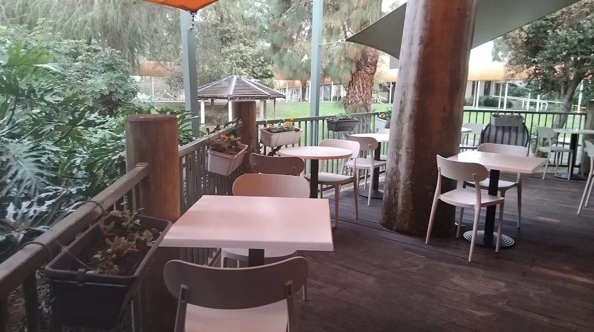 Vibe, Supernatural Eatery