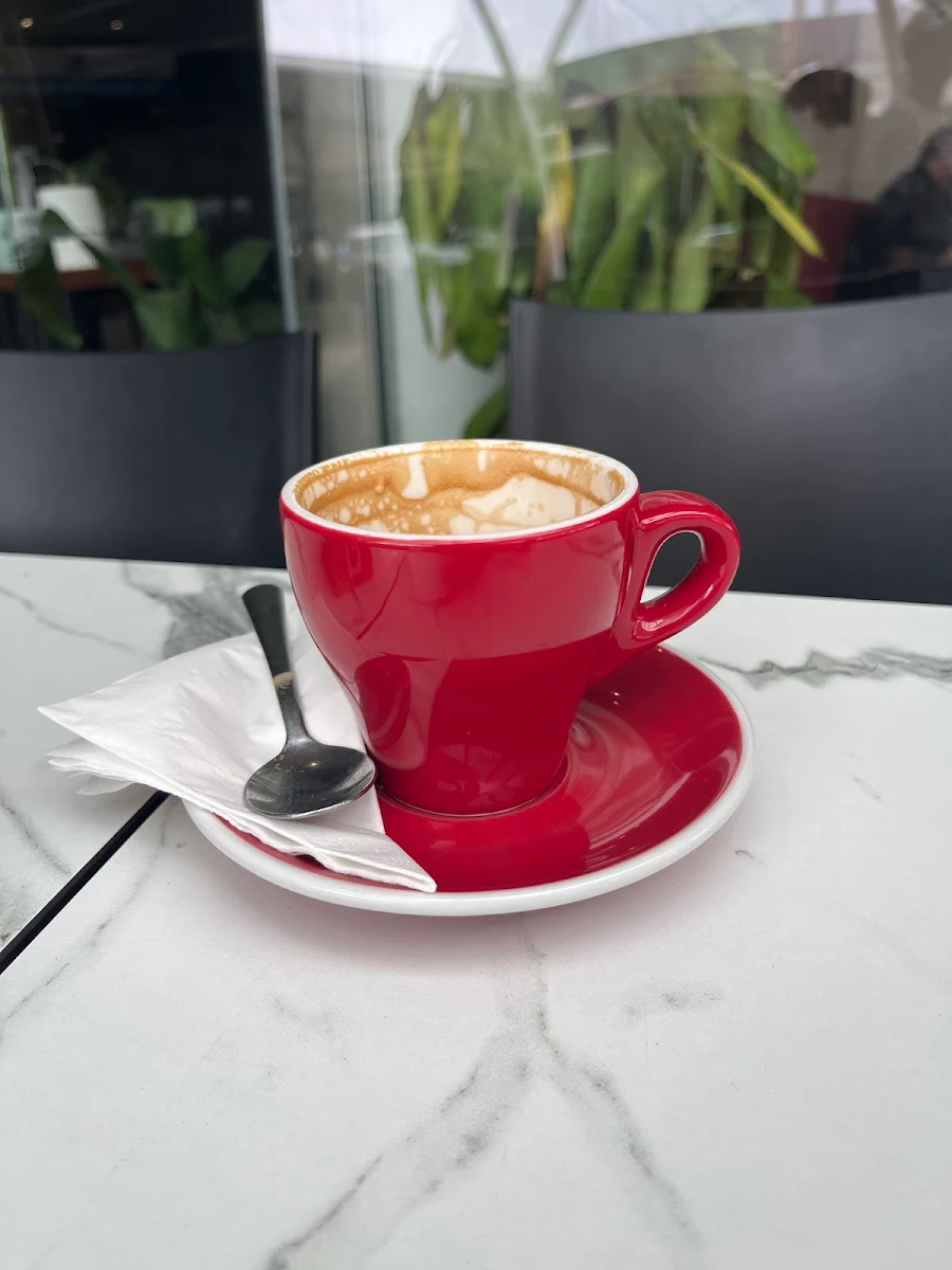 Food & drink, Cafe Venice