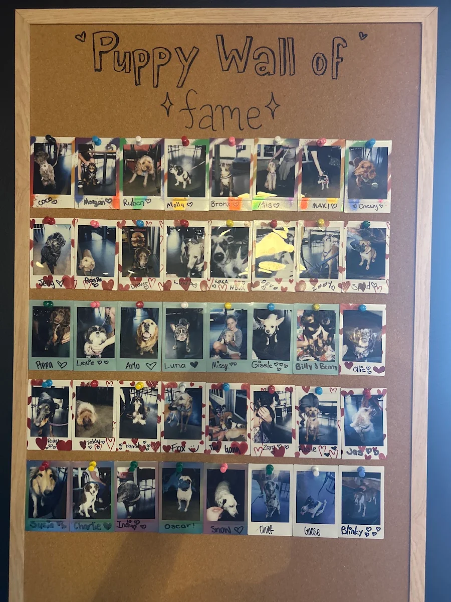 Menu, Burger Urge (Toowoomba)