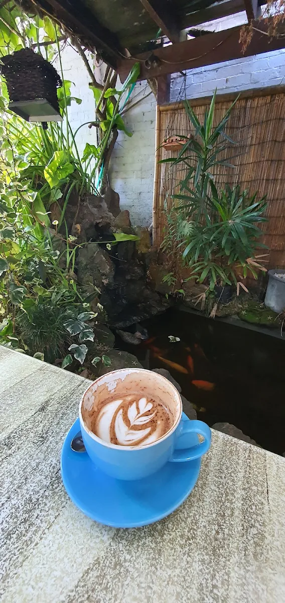 Food & drink, Provence Garden Cafe Eastwood