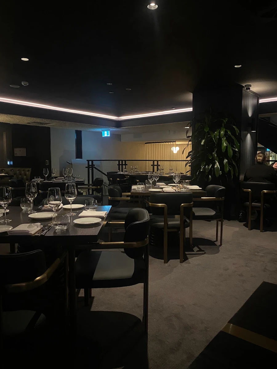 Vibe, Blackbird Melbourne