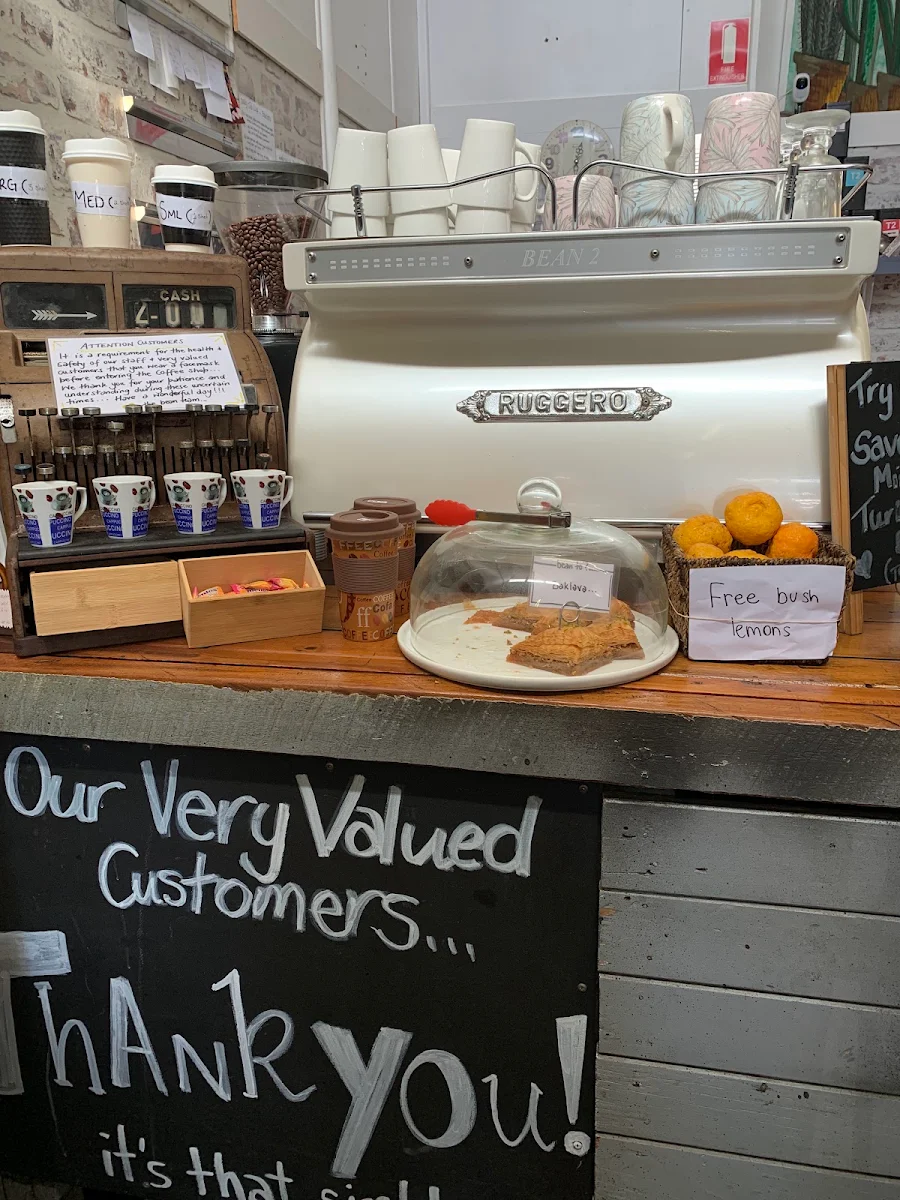 Vibe, Bean to